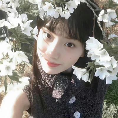 羊城暗哨